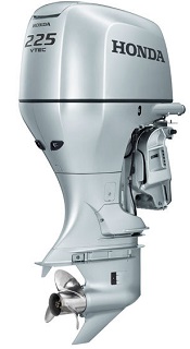 bf225.jpg bf225.jpg