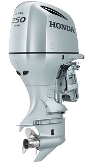 bf250.jpg bf250.jpg